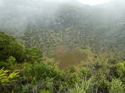 P1270326