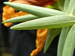 P1270342
