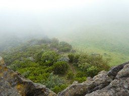 P1270386
