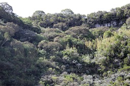 Intérieur d'un Trou blanc