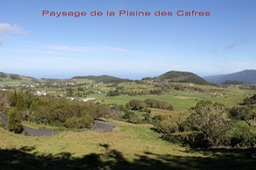 Paysage de la Plaine des Cafres