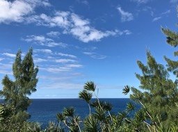 IMG_9421