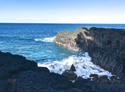 IMG_9469