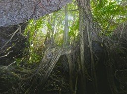 P1800904