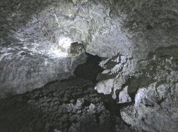 P1800914