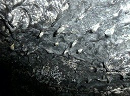 P1810094