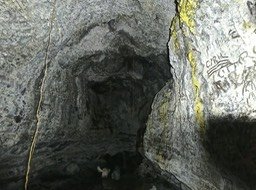 P1810099