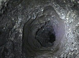 P1810157