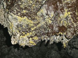 P1810225