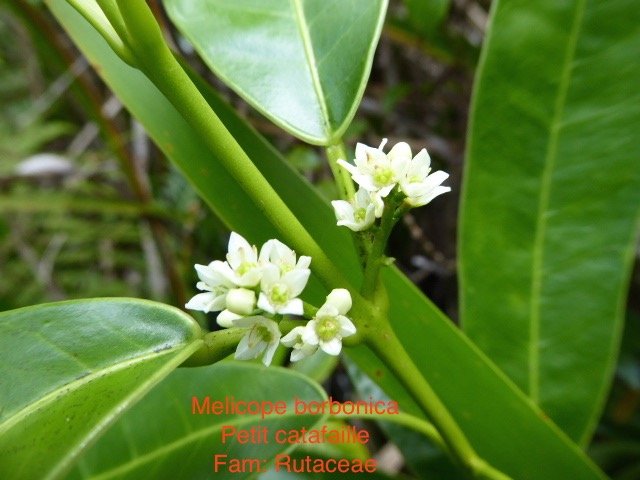 P1010435