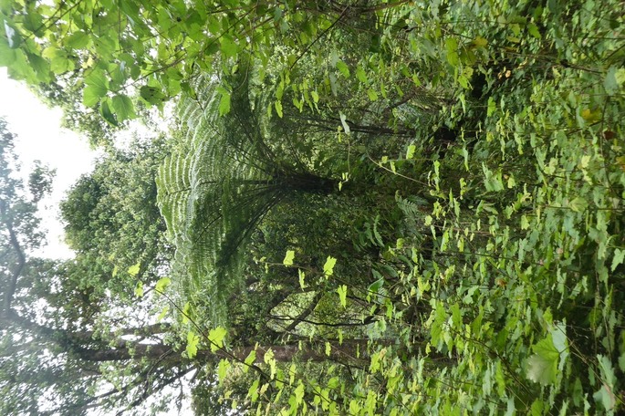 P1035394