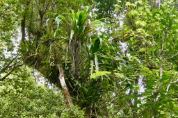P1035395