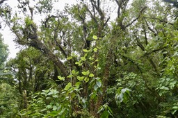 P1035398