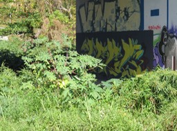 IMG_5157