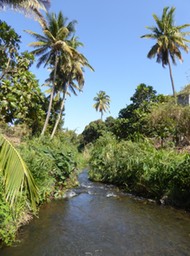 P1390663