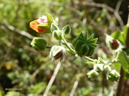 P1390716