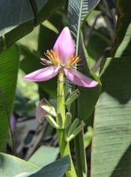 P1390743