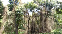 P1390817