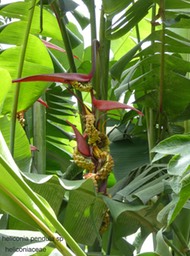 P1390895
