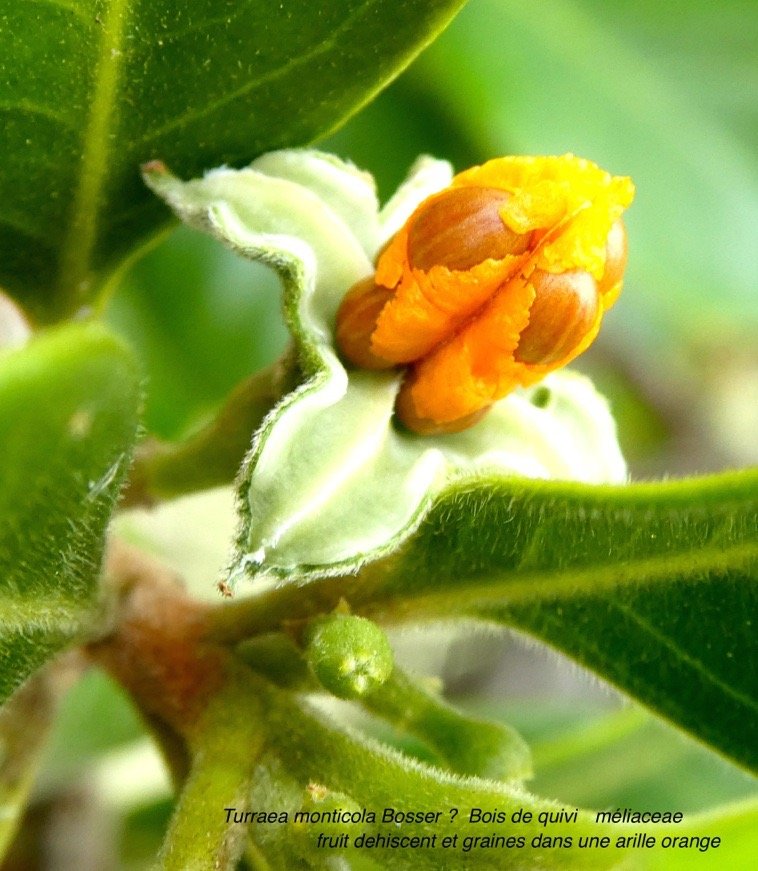 P1080419