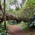 le sentier (1).jpeg