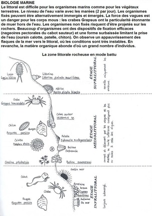 biologie marine
