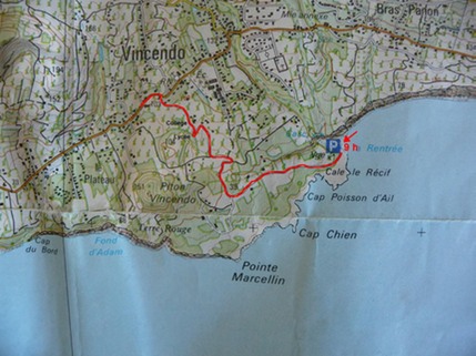 carte Vincendo