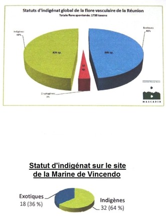Indigénat