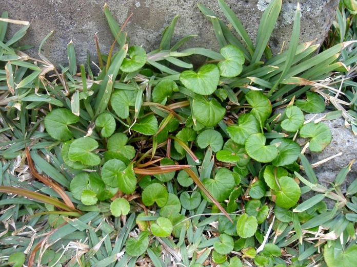 P1010006 01