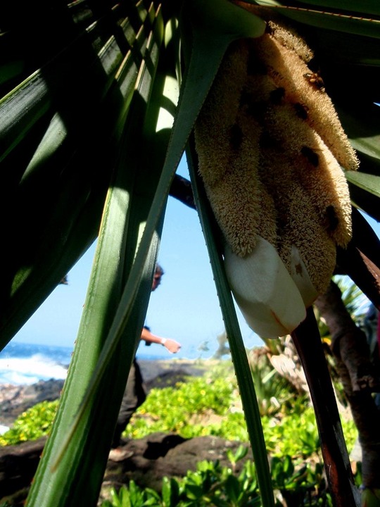 P1010018 01