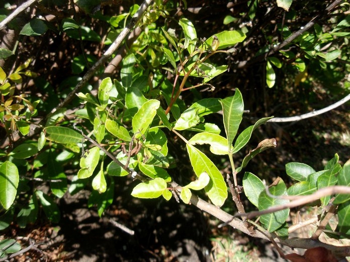 P1010023 01