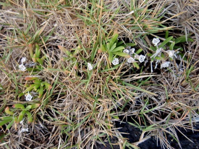 P1010026 01