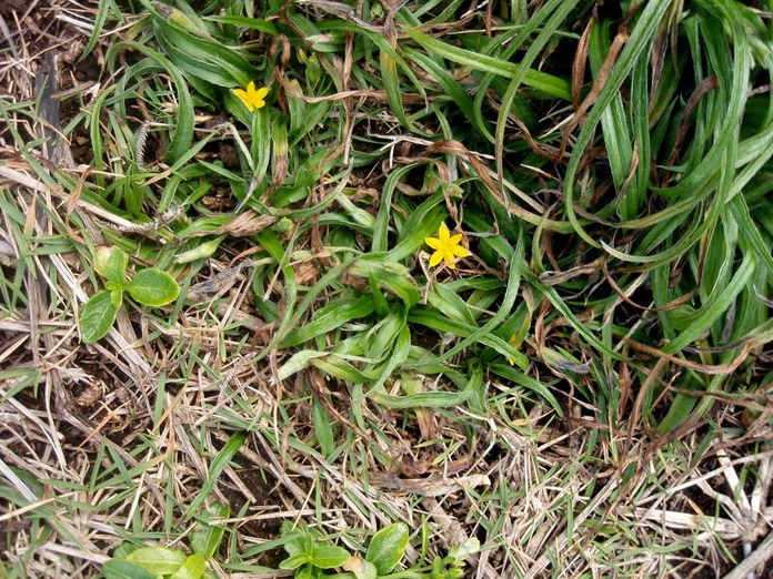 P1010042 01