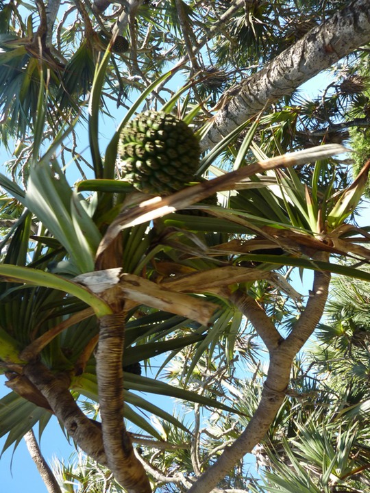 P1080216