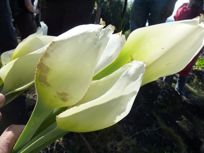 P1080246