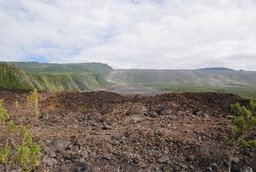 DSC_0018