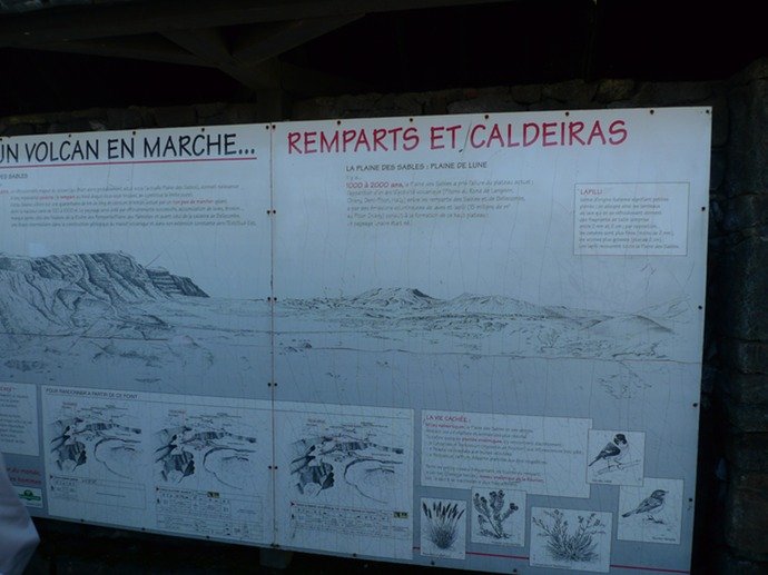 P1000678