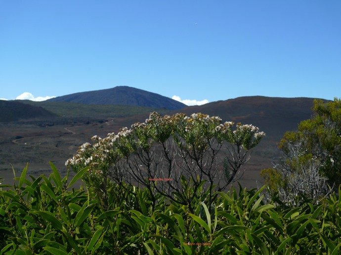 P1000704