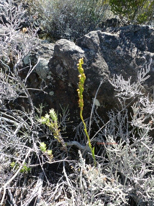 P1000719