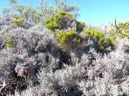 P1010876