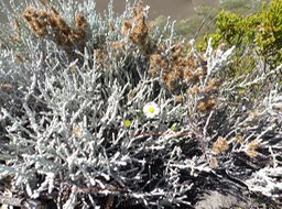 P1010896