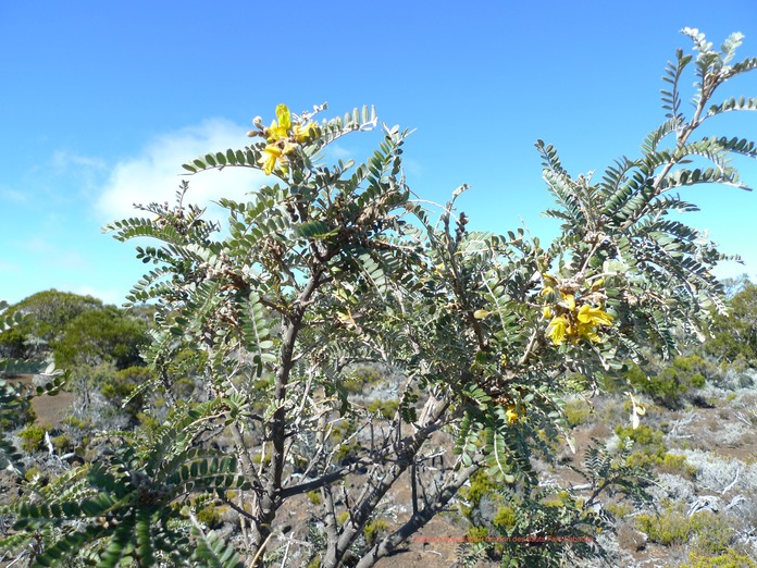 P1010903