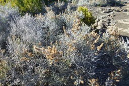 P1100048