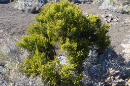 P1100049
