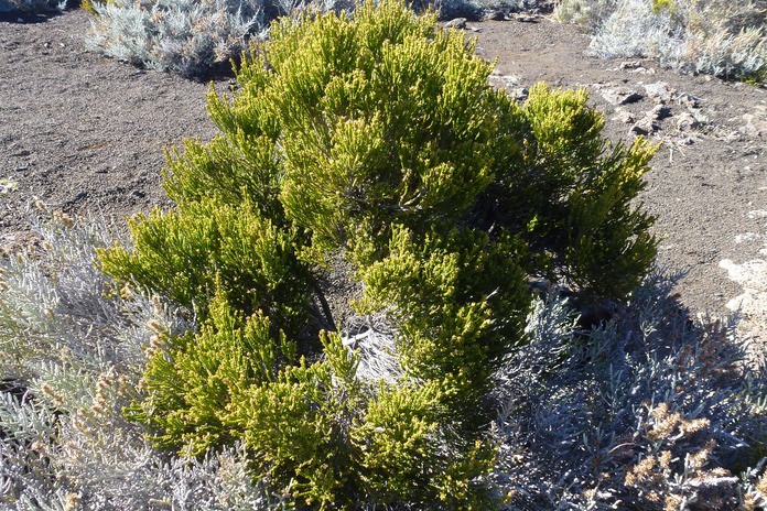 P1100049