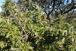 P1100070