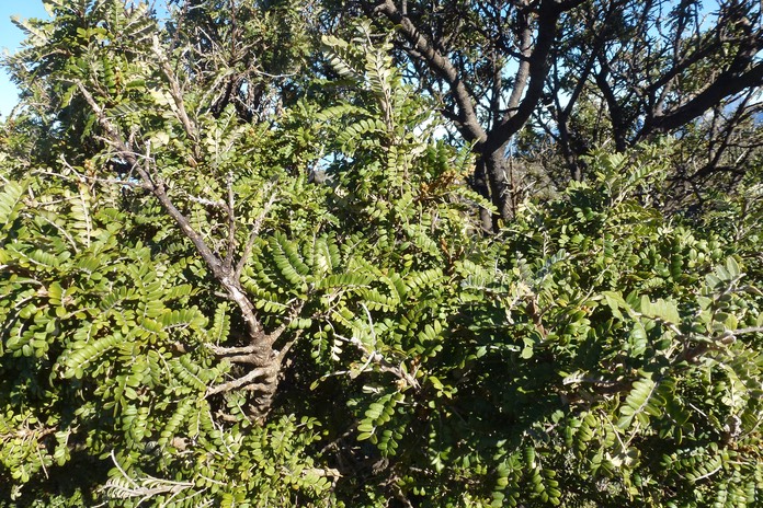 P1100070
