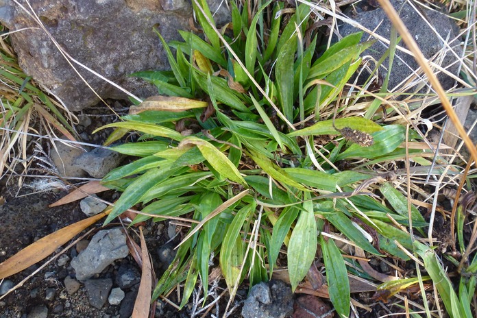 P1100087