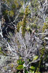 P1100097