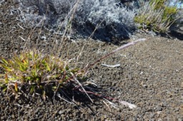 P1100138